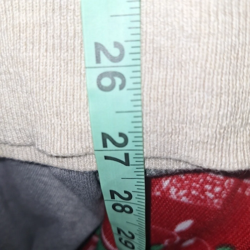 A J.Crew 100% cotton turtleneck sweater in a men's size large. EUC.